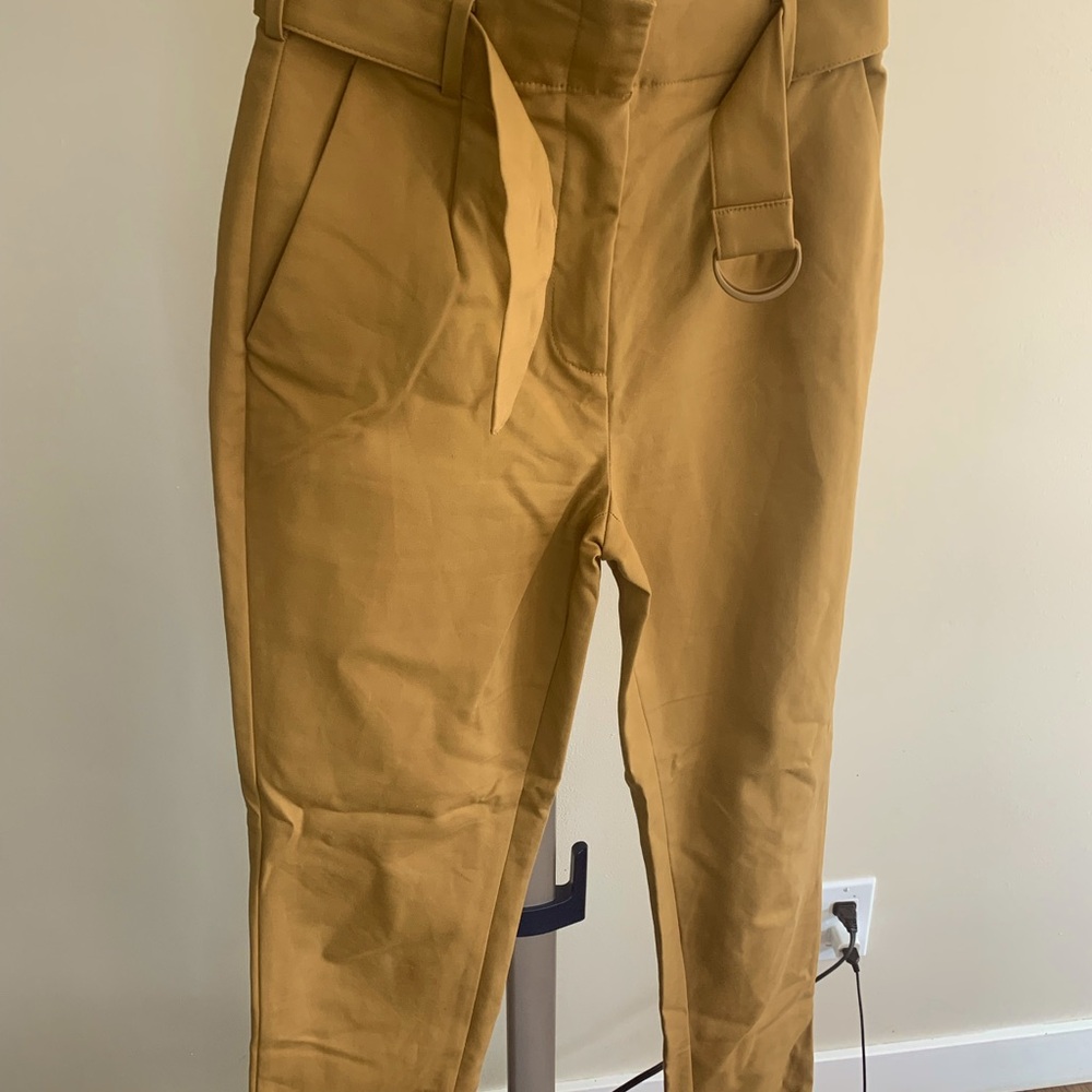 Aritzia High waisted dress pants
